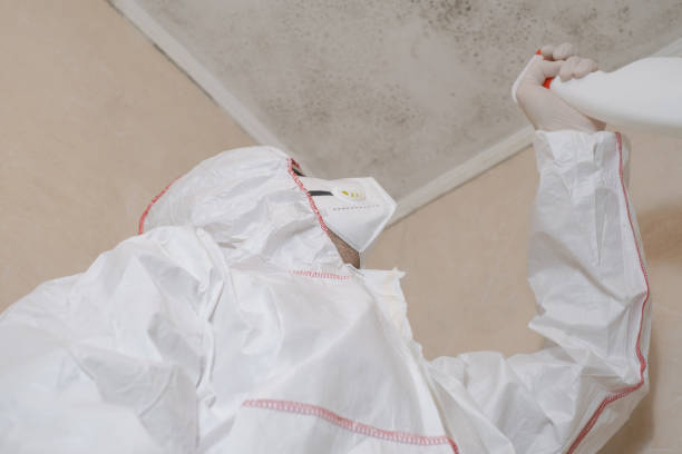 Best Industrial Mold Remediation in Whitewater, CA